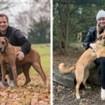 martin rütter und conny sporrer getrennt